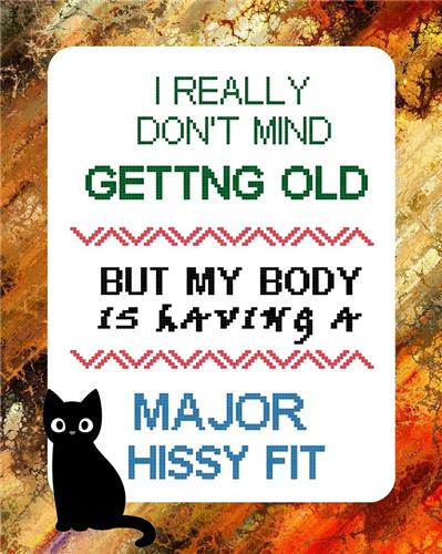(image for) Hissy Fit